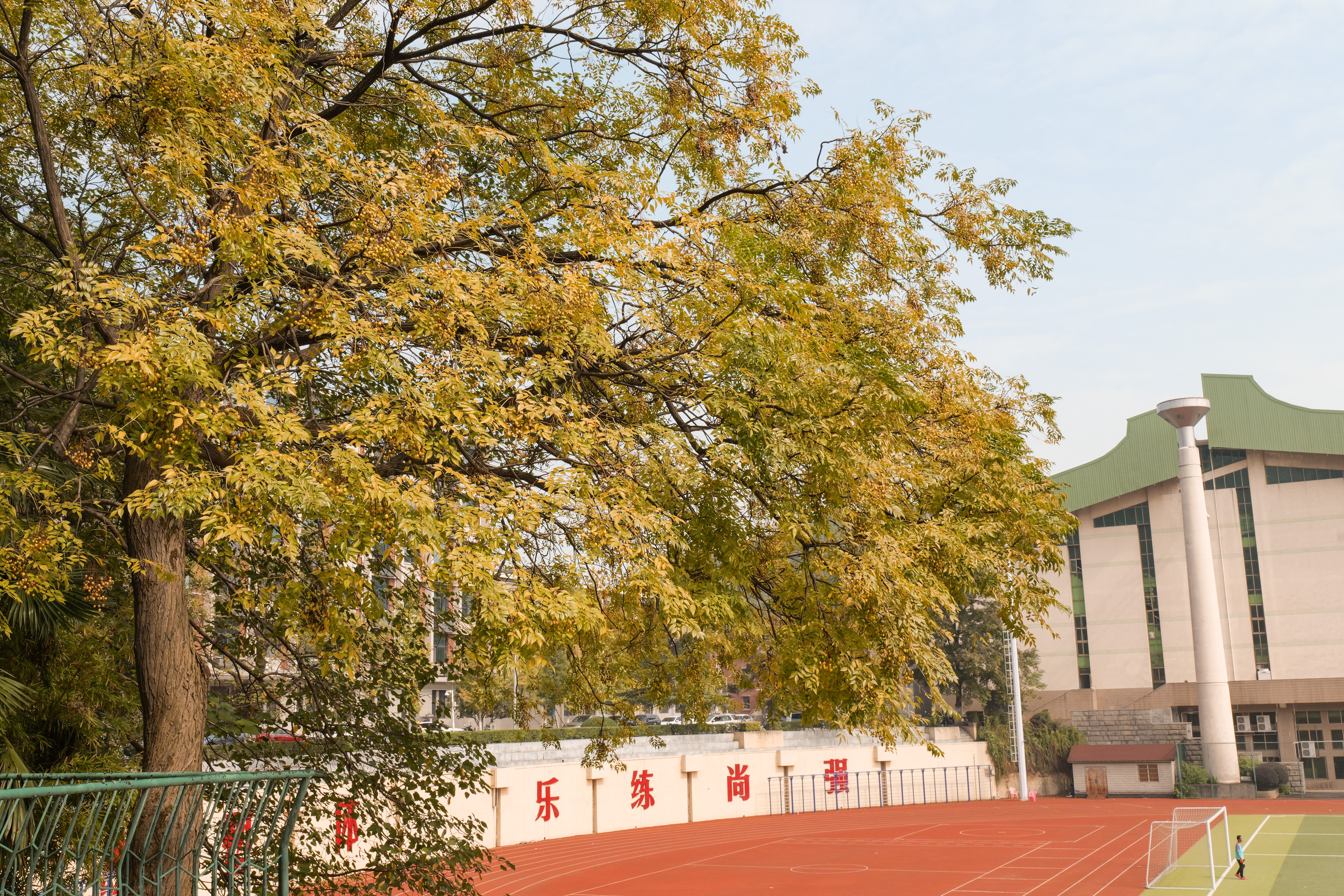 秋日操场