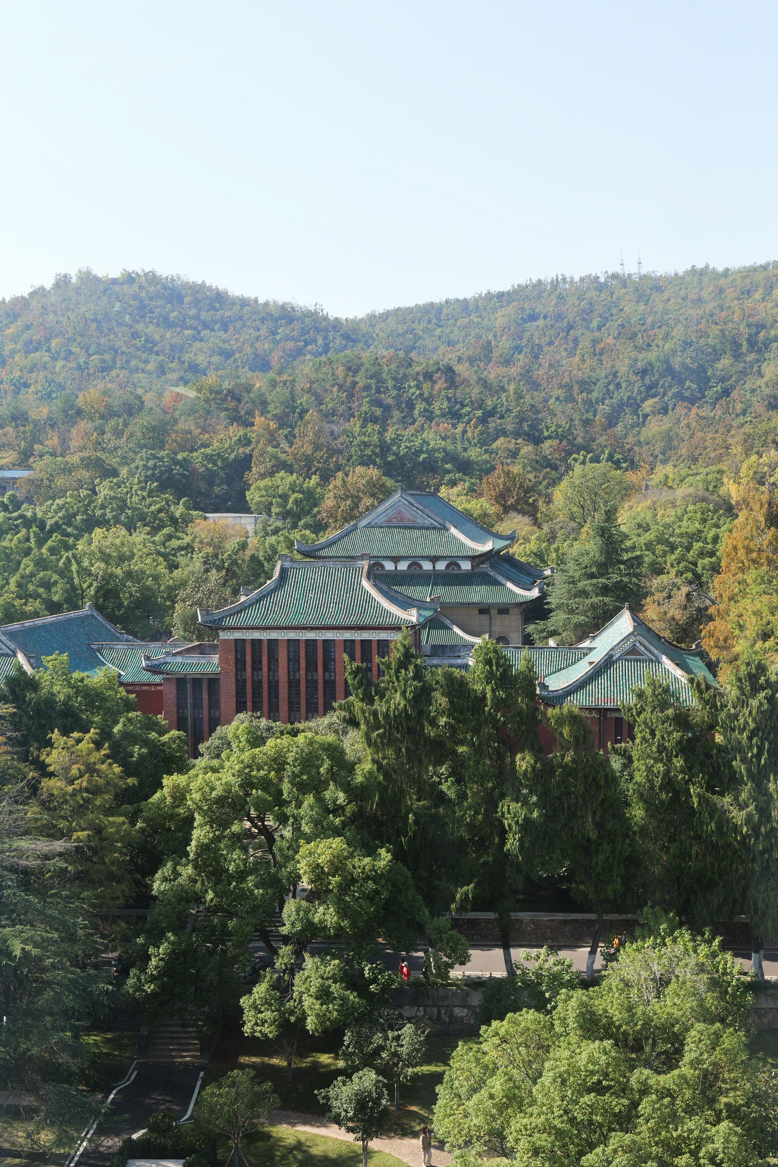 林中的传统建筑